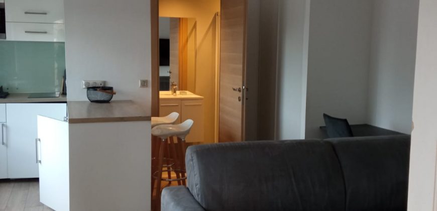 Réf MART/1. VALLAURIS, Charmant Studio meublé climatisé rénové, 24.22 + 9.50m² loggia, RDC exposition Sud avec Parking