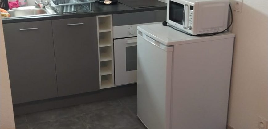 GUGL/1 Charmant 2P meublé, 29.06m²+terrasse 13.58m², climatisé, rénové, bien équipé, exposition Est avec parking privatif et piscine collective