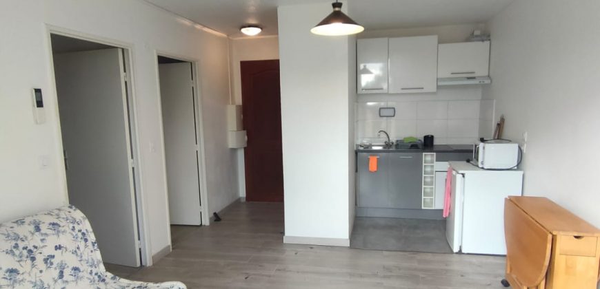 GUGL/1 Charmant 2P meublé, 29.06m²+terrasse 13.58m², climatisé, rénové, bien équipé, exposition Est avec parking privatif et piscine collective