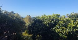 Exclu Grand 2P Terrasse Cave et Parking CANNES
