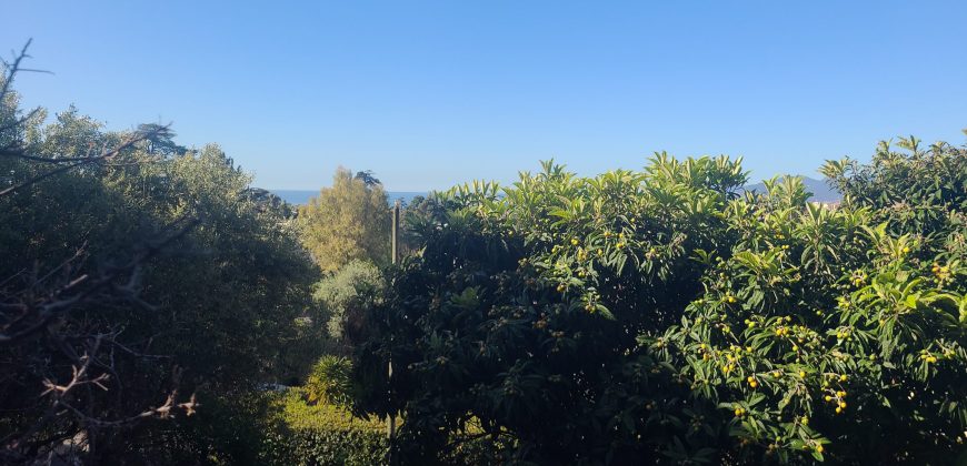 Exclu Grand 2P Terrasse Cave et Parking CANNES